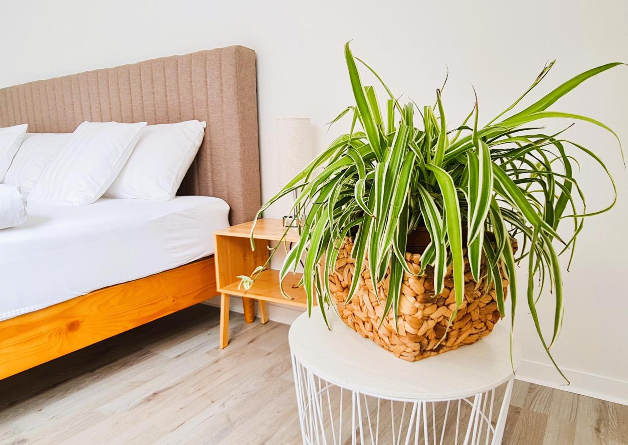 מאנכינג Apartment Naehe Airbus מראה חיצוני תמונה